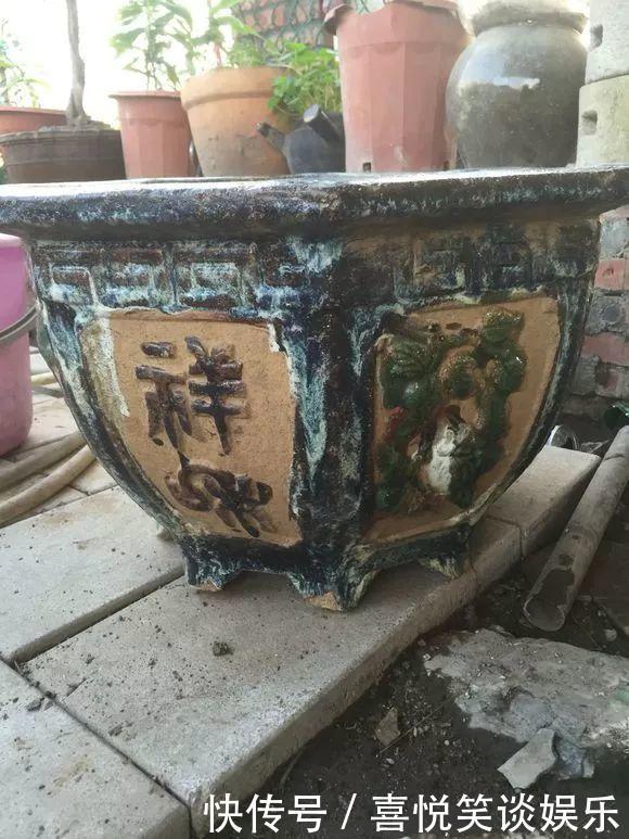 几十个高价花盆,被扔在垃圾桶旁,捡还是不捡?