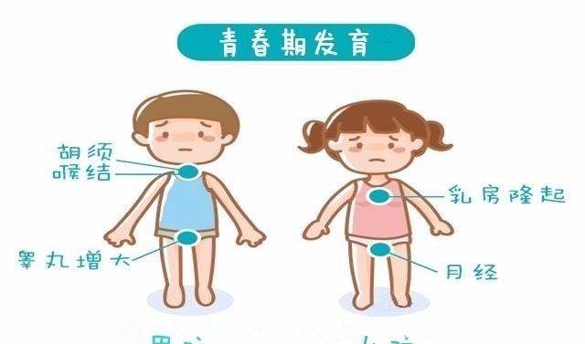 番茄|孩子身体如果有这三个迹象,很可能是要停止长高了,家长要留意!