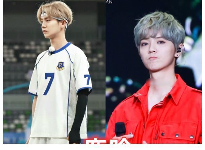 “跑男”捧红了郑恺,陈赫转型,鹿晗重新翻红,最后的她不幸离世