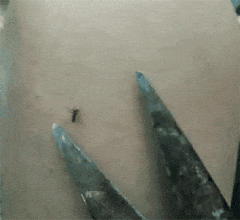 |搞笑GIF:霸气了我的姐 这辈子见过最拉风的走路姿势