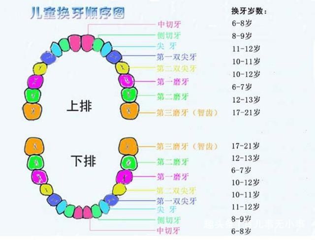 家长|几个儿童换牙小知识，孩子的牙齿健不健康，就看家长懂不懂！