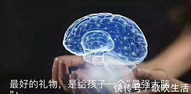 发育|智力是天生的,父母后天教育作用不大?错!孩子脑部发育有关键期