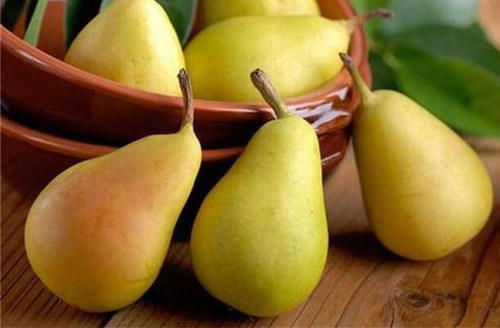 苦菊|对身体很好的食物，夏天多吃一些，消除疲劳，延缓衰老，增强体质