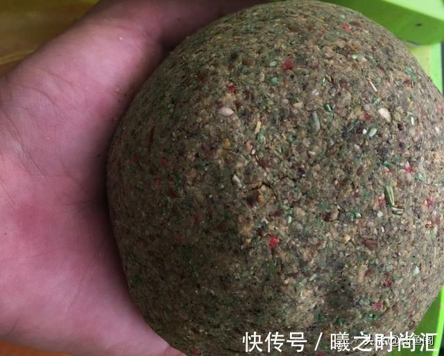 鱼不开口咋整?打窝、死守都没用,这4招才能快速见效