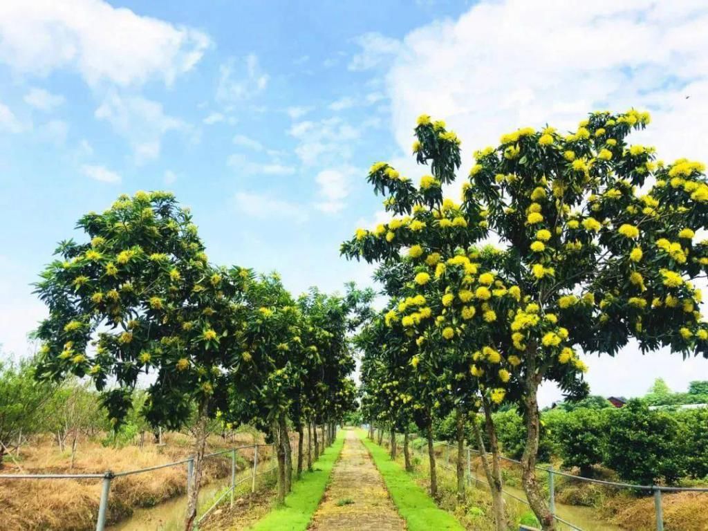 线路|南区有哪些地方最值得玩？赶紧收好这三条线路 ↓