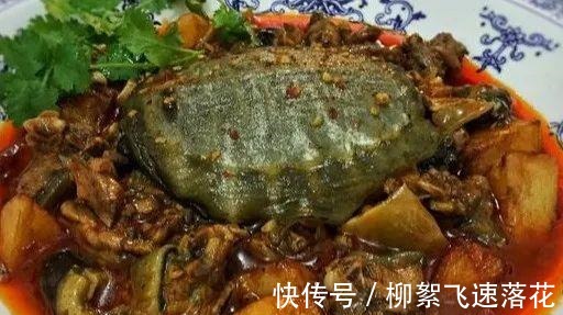 10款川菜新菜品,味型各异,款款热销,很值得大家参考!