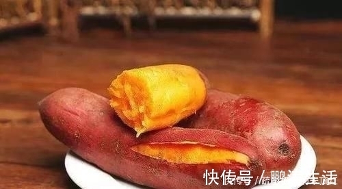 鲤鱼最爱吃什么野钓多年终于得出答案,五种鲤鱼无法抗拒的好物