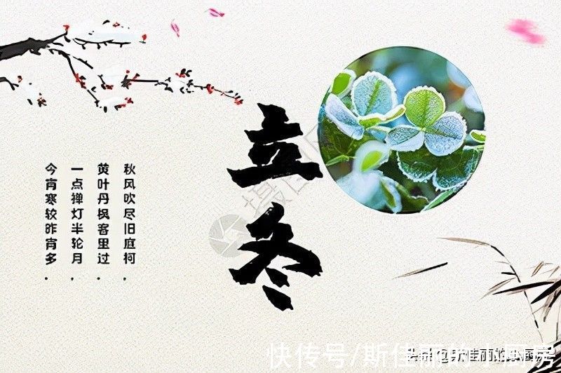 黑木耳|今日立冬,记得要“吃三宝喝五汤”,应季而食营养足,平安过冬天