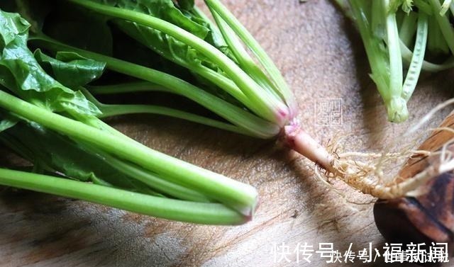 茎部|买菠菜时,遇见这4种菠菜扭头就走,菜贩子从来不吃,你买他偷笑