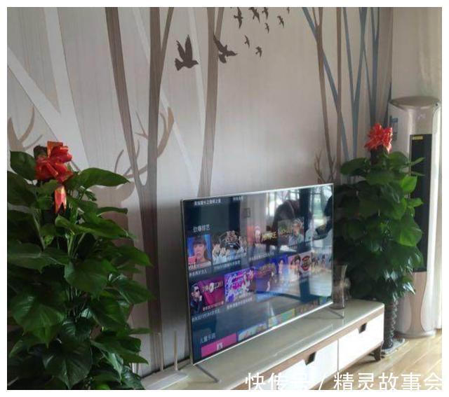 媳妇|败家媳妇花21万把家装好,全屋高档实用,朋友都夸我娶了个好老婆