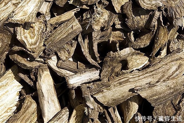 葛根粥|路边不起眼的植物,被誉为“亚洲人参”,见到别犹豫,一斤50元