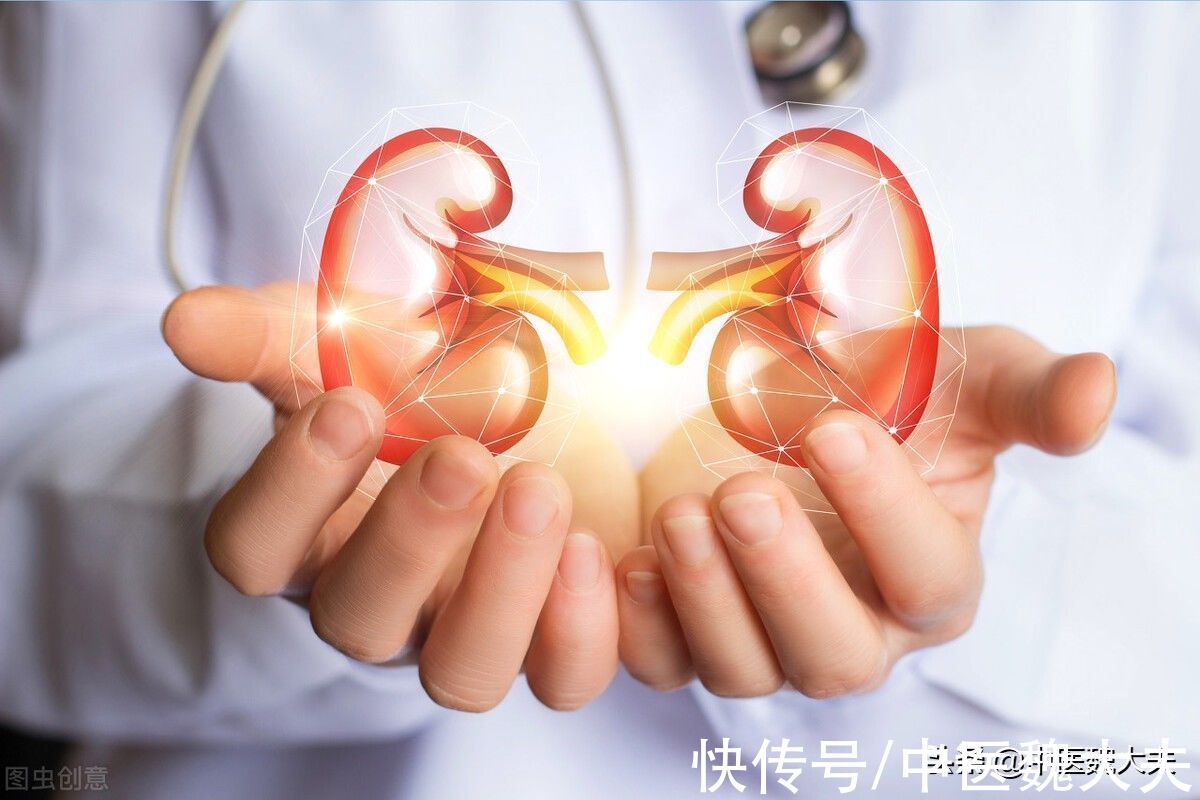 熟地黄|肾虚别焦虑，6种补肾食材、8味补肾药材，温补肾阳，调理肾虚