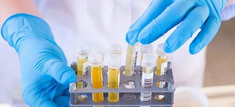 患者|得了肾炎有什么症状?若患者出现这5个现象,说明肾脏告急中