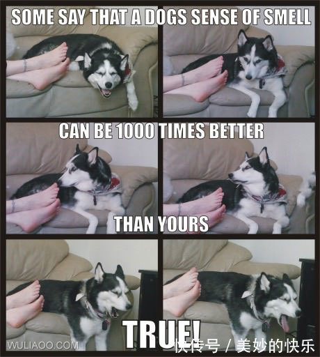 |搞笑图片:借个光,让我也看看