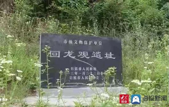 游湖赏青，不负夏日好时光！|?美丽小镇 状元故里 | 湿地