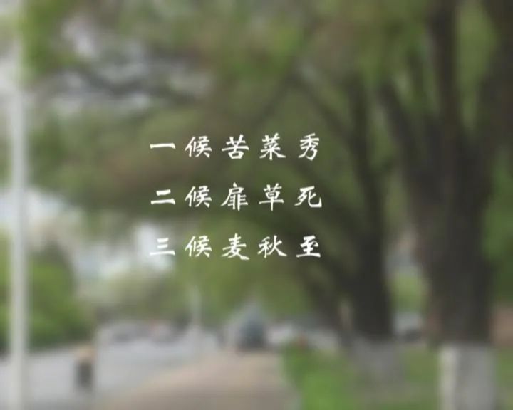 節(jié)氣|今日小滿 夏季養(yǎng)生看這里