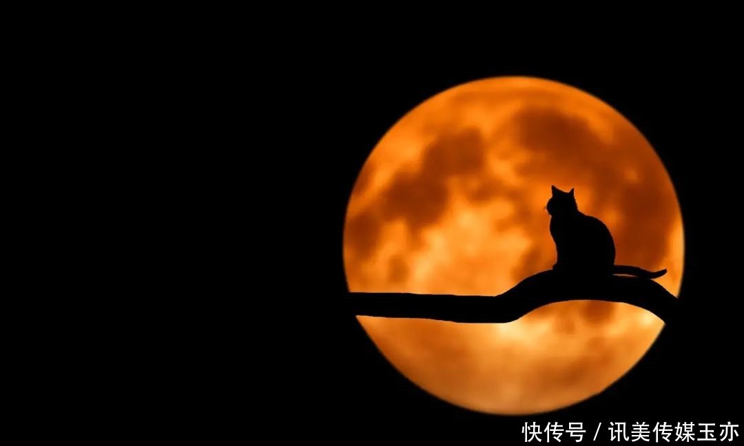 天文 5月26日!月全食遇上“超级月亮” ,罕见天文奇观不容错过!