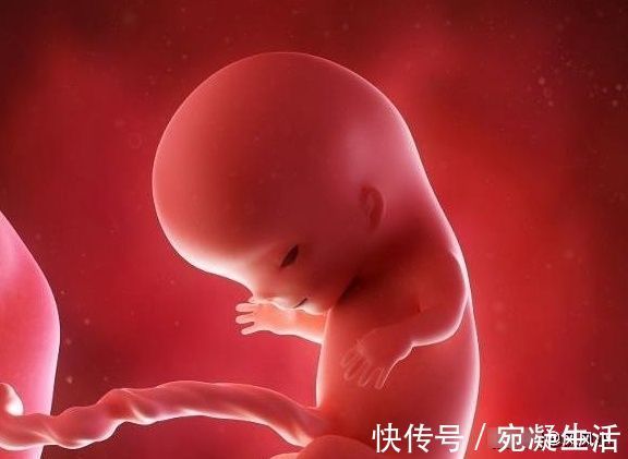 胎停育|为什么现在“胎停”的人越来越多?多数和这4点有关,早知早好