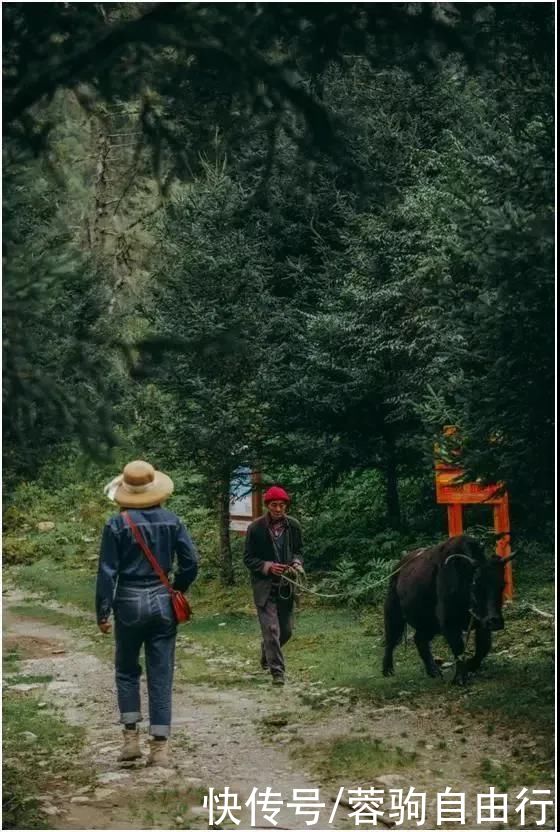 甘孜藏区大山深处世外桃源，竟招如此对待