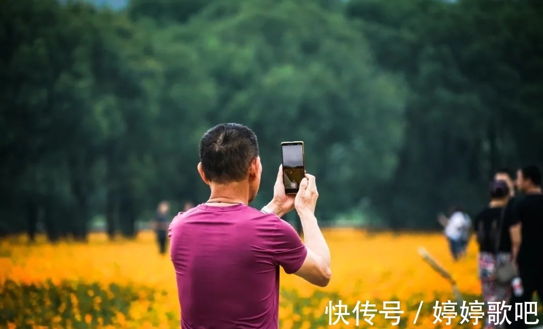 宁波城区|抓住机会！这可能是宁波城区今年的最后一片花海！