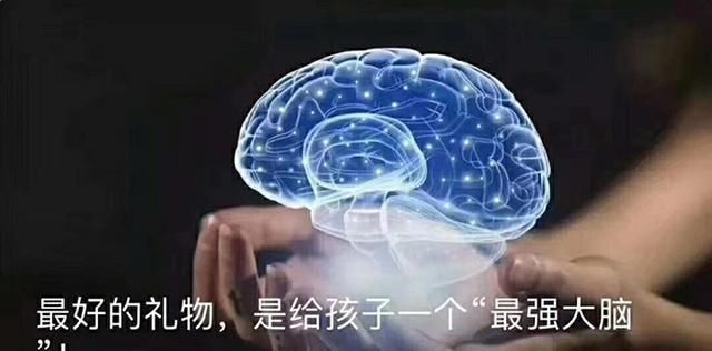 智力|智力是天生的，父母后天教育作用不大？错！孩子脑部发育有关键期