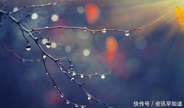 一声声一更更,点滴芭蕉心欲碎,7首古诗词,听雨落下的声音