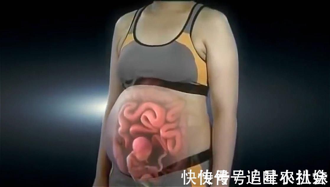 尿频|孕妇的“肚量”有多大一张图告诉你答案孕妇的内脏都被挤没了