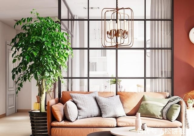 盆栽、园艺用品从网上买,还是店里买?听我来说说,保证您有收获