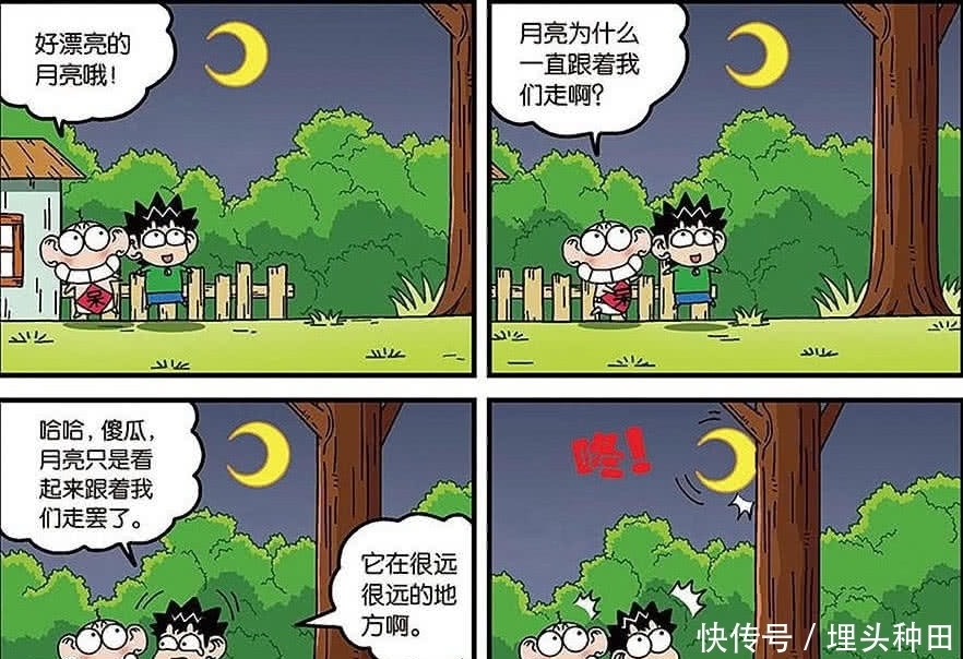 呆头|爆笑农场：月亮尾随呆头和旺财撞到头，旺财游泳撞的头破血流！