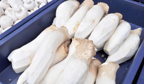 张医师|人到中年想长寿,不妨多吃三种食物,排毒养颜,美白护肤!