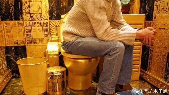 唐鑫源 花1.2亿搞了个厕所!我...竟然有点心动?