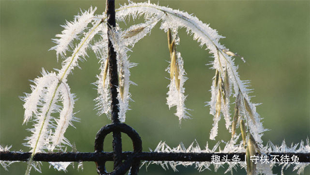 13个冷知识真实存在着,或许也曾知晓过的奇怪知识