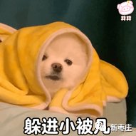 枣庄冷空气持续来袭，来看看如何预防感冒|记者聊点啥| 瑟瑟发抖