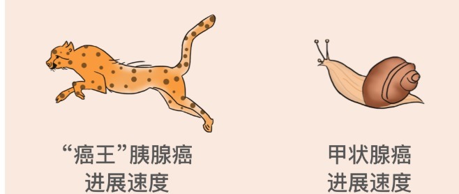 多位专家建议:得了这几种病,千万别「急着手术」!