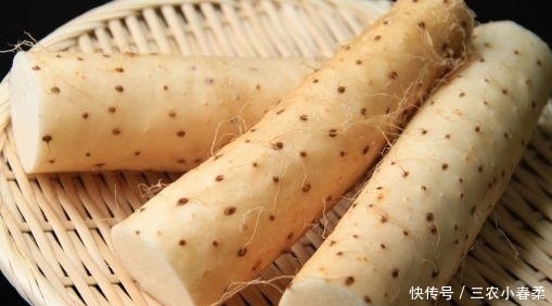 胃不好怎么办? 营养师: 常吃3物, 胃会一天比一天好