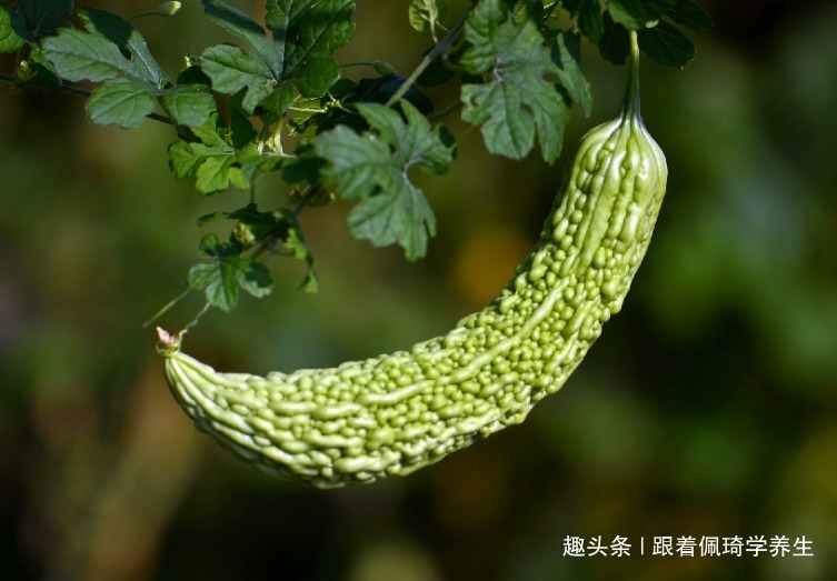 丝瓜|脸上有斑不要慌，常吃三种食物，美容养颜，淡化色斑，排毒瘦身