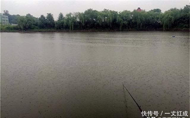 大雨|夏季钓鱼遇上下雨天,爆护的机会来了,钓位这样选,过足连竿瘾