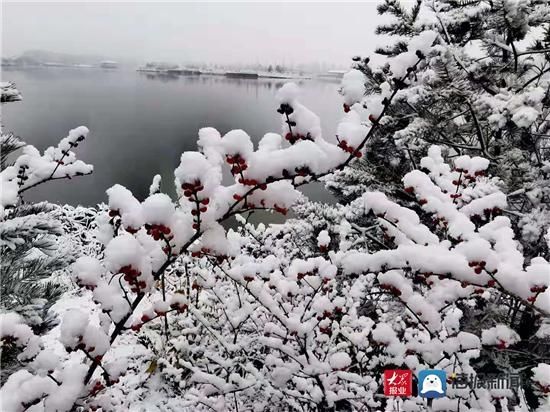 组图|组图｜淄博这场雪用实力说话 这些地方最美