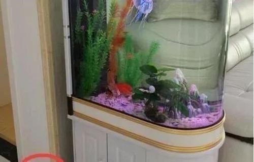 教训|新房入住3个月气得想返工,总结装修12条血泪教训,条条直戳心坎