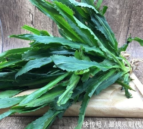 农村生长这种多年生草本植物,叶子带刺,却有治疗水肿病的功效