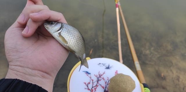 前天爆护连竿的地方，隔天垂钓却不见一口！幸亏遇到老者道出缘由