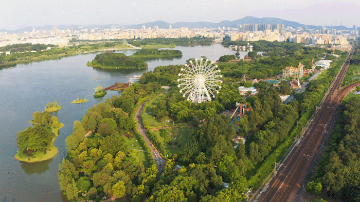 户型|楼市洗牌之年，它凭何穿透周期，逆市登顶？