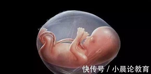 孕妈|怀孕后“戒掉”这四个习惯,羊水会清澈又充足,孕妈要牢记