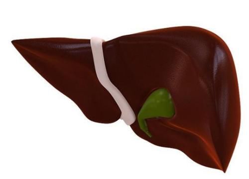 患上脂肪肝还不管不顾,以下4个危害,会“慢慢”找上你!