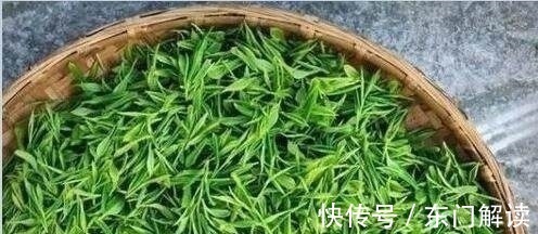 癌细胞|这4种最常见的蔬菜是抗癌“四大天王”，第一种你还天天在吃！