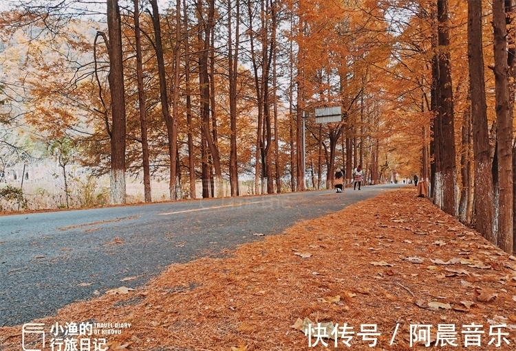 凤县|秦岭秋天最美自驾公路，只有39公里，却穿越中国南北！