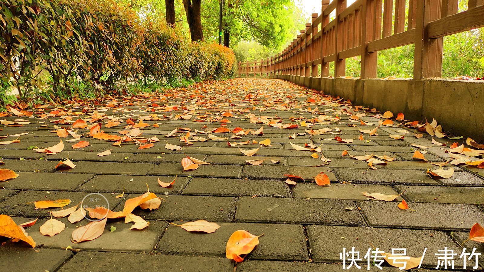 边际@思念是窗前的眼睛,望着望着,就被风吹红了