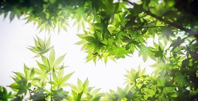 千古名作$元稹吃白居易的醋,写下一首千古名作,白居易只好写千古名作解释