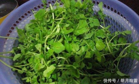 妇科炎症|女性不想老太快,多吃点此菜,补气血,去除色斑,妇科炎症悄悄溜