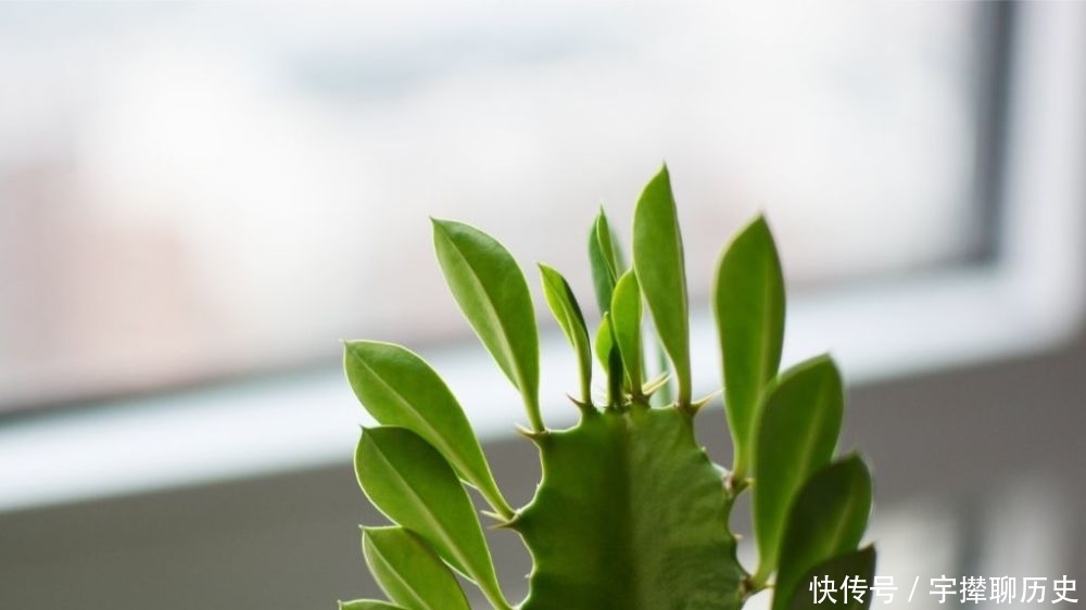 乎你学习|妈妈和孩子的幽默对话!佩服!值得存五十年!